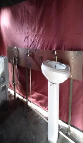 serene camps by stayapart