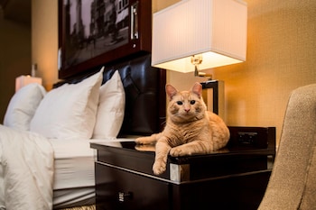 The Algonquin Hotel Times Square, Autograph Collection,Jersey City>>New York,4 star