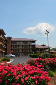 baymont by wyndham pigeon forge near island drive