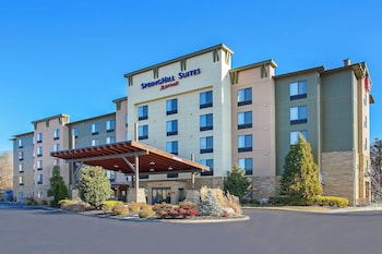 Springhill Suites By Marriott Pigeon Forge,Sevier County>>Gatlinburg - Pigeon Forge,3 star
