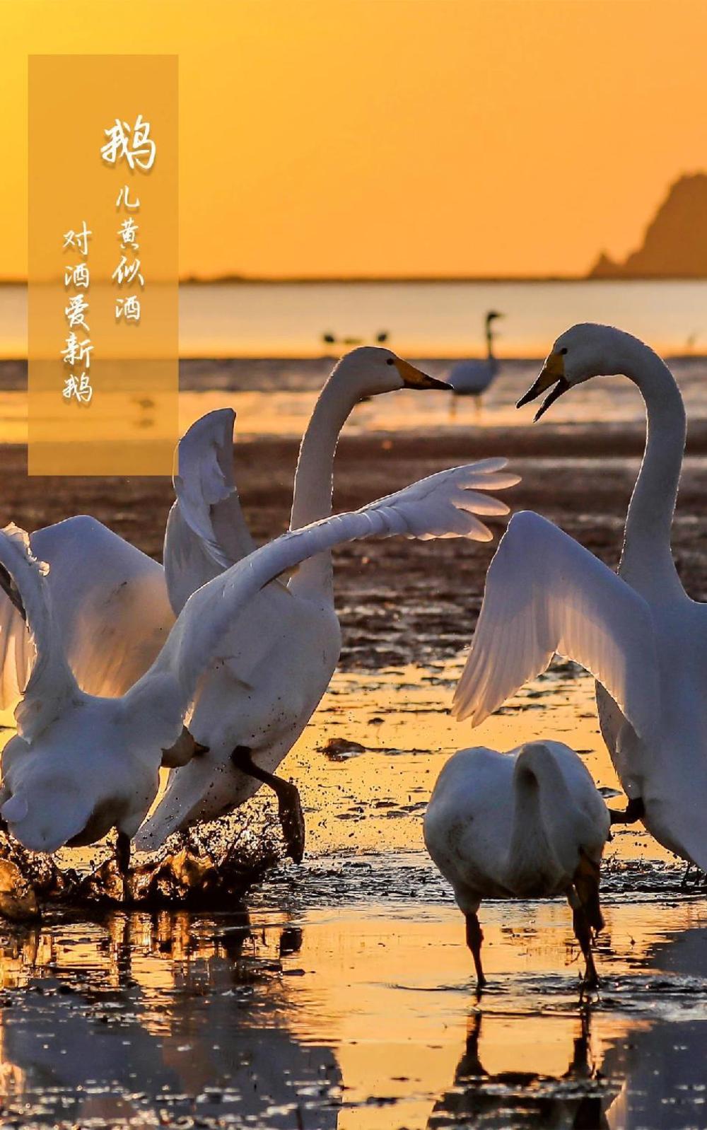 ji hotel weihai huancuilou