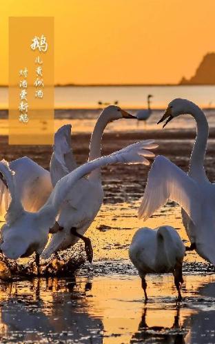 ji hotel weihai huancuilou