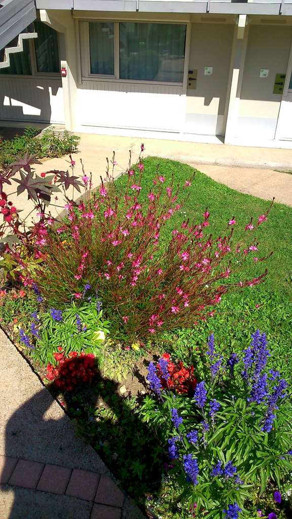 hotel campanile besancon nord ecole valentin