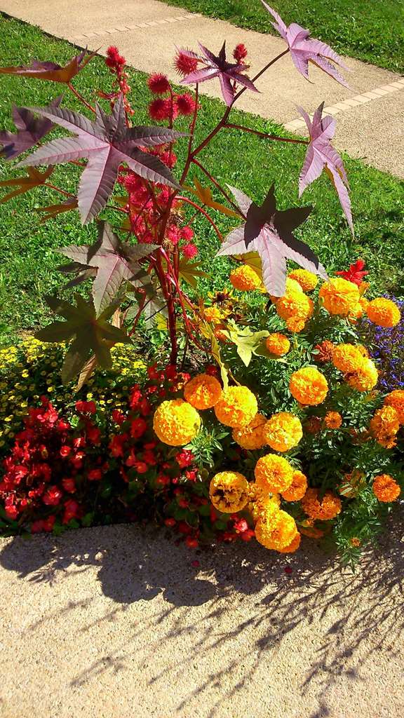 hotel campanile besancon nord ecole valentin