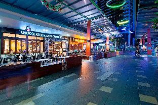 surfers paradise