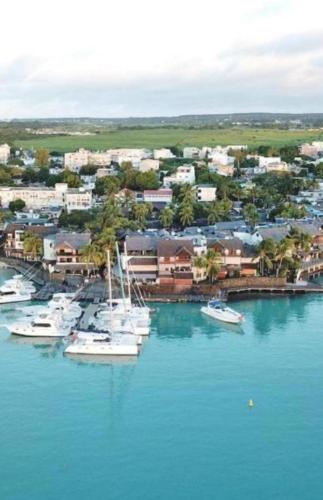 sunset boulevard suite