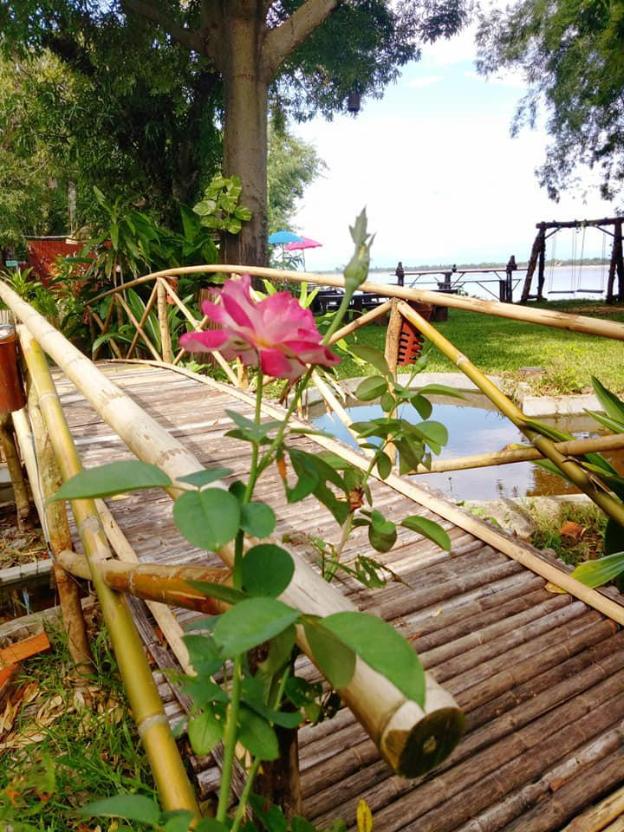 the view at champasak