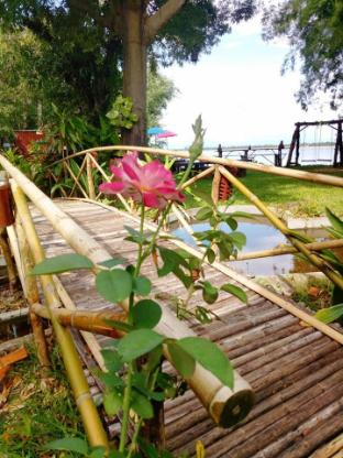 the view at champasak