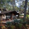 Monteverde,Jalisco>>Guadalajara,4 star