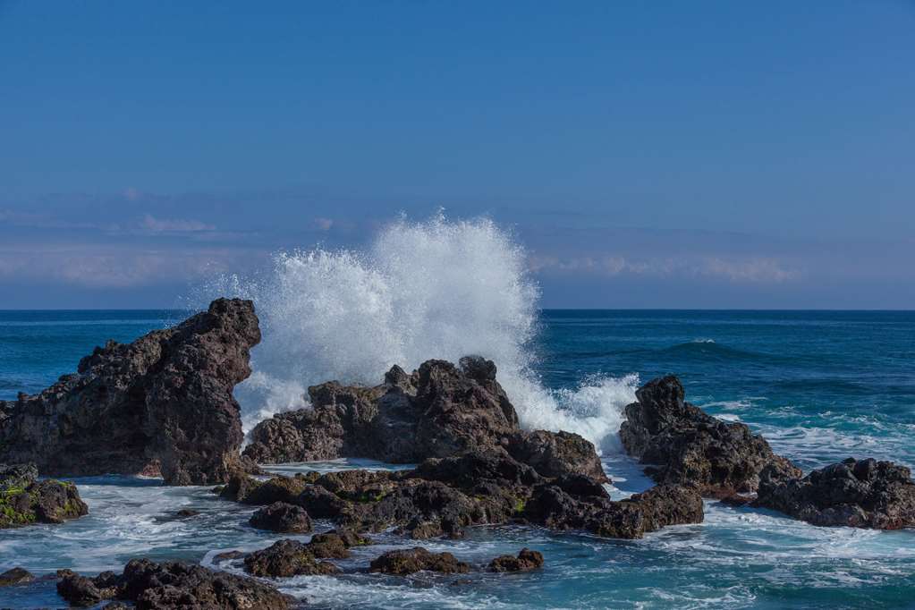 kohea kai hotel maui