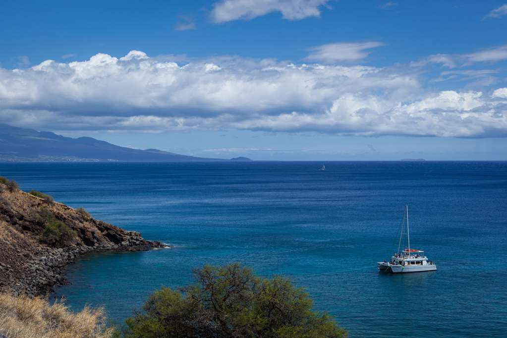 kohea kai hotel maui