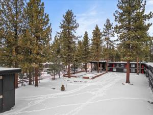 ambassador lake tahoe
