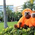 shangri la sanya