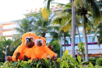shangri la sanya