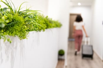 enattica monastiraki living