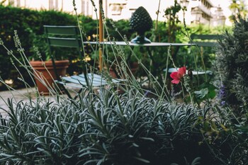 hotel eveline portosole