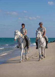 sir bani yas island