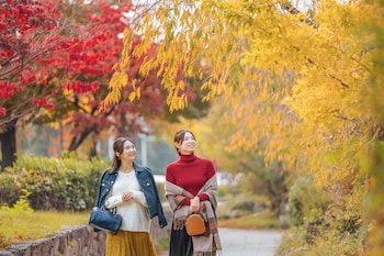 omo5 kyoto sanjo by hoshino resorts