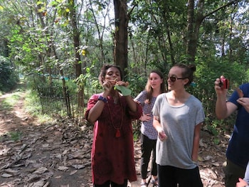 amritara hornbill camp