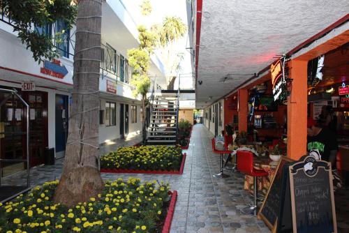 tradewinds