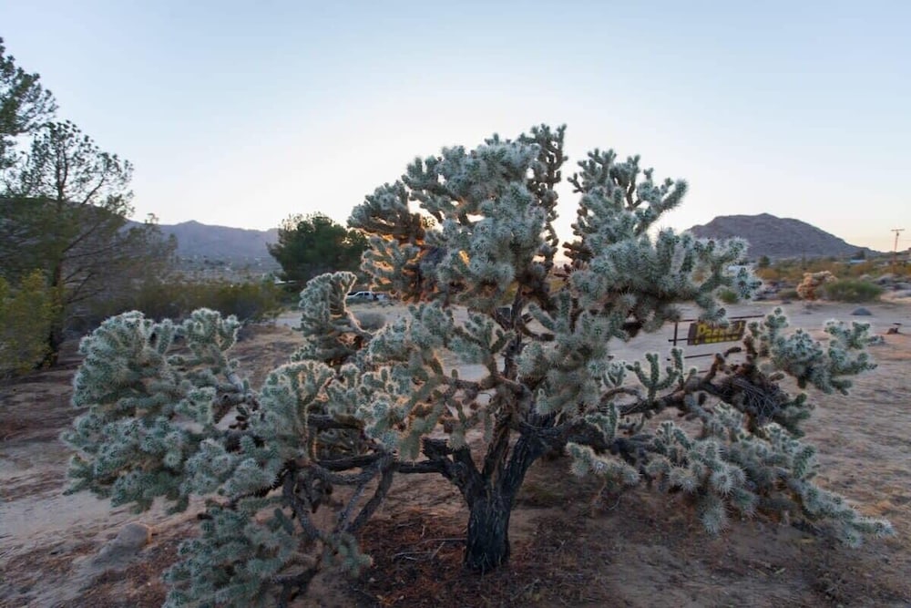 marbella lane 10 acres oasis desert retreat