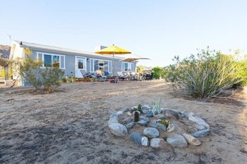 joshua tree