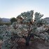 marbella lane 10 acres oasis desert retreat