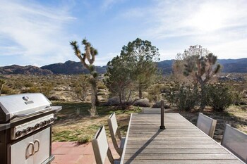joshua tree