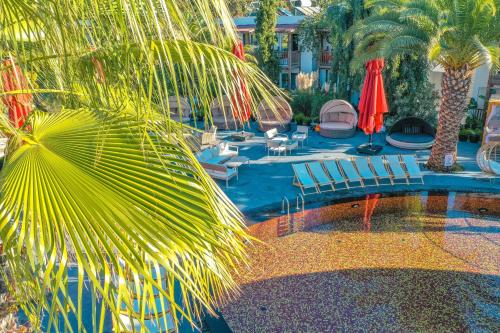 very chic hotel adult only