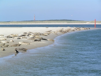 sier aan zee