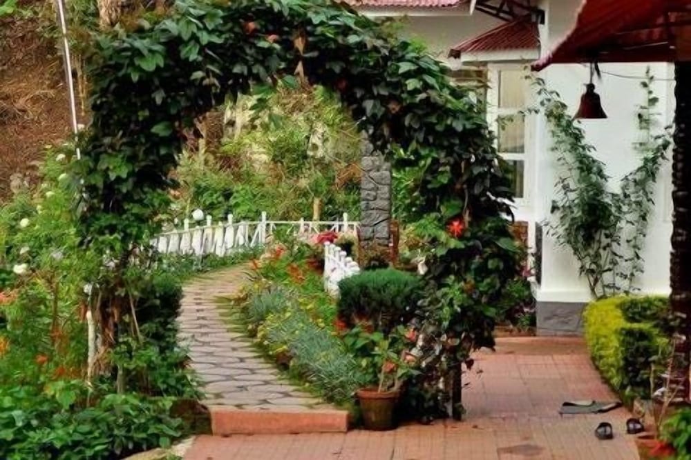 olivebrook