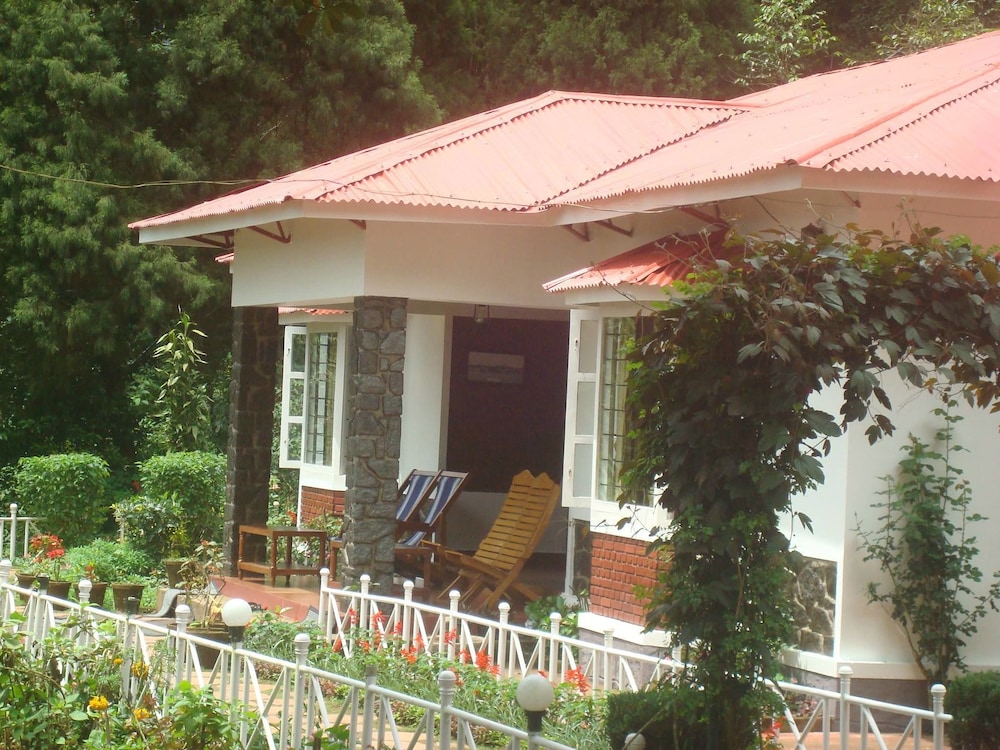 olivebrook
