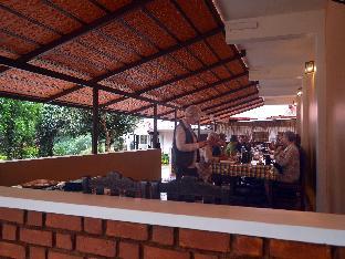 olivebrook