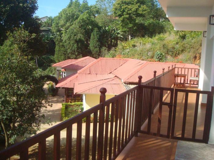 olivebrook