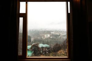 lotus inn rothang view