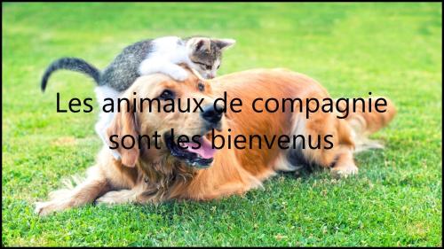 brit hotel essentiel st flour