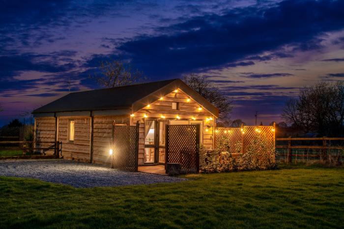montana log cabin