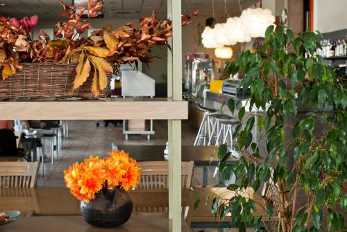 puerta de la serrania