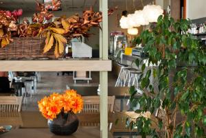 puerta de la serrania