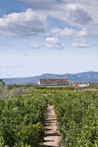 puerta de la serrania