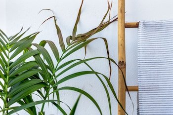 divino suites adults only