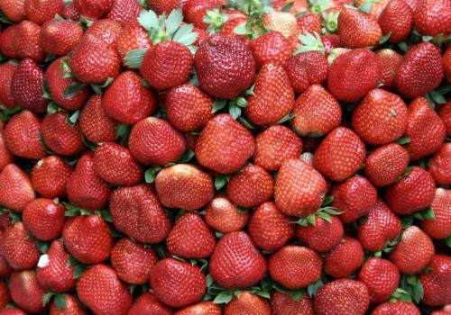 reddoorz hostel arc residences baguio