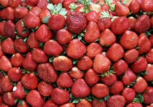 reddoorz hostel arc residences baguio