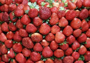 reddoorz hostel arc residences baguio