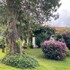 tiradentes
