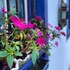 segredo da serra guest house