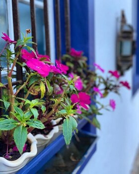 segredo da serra guest house