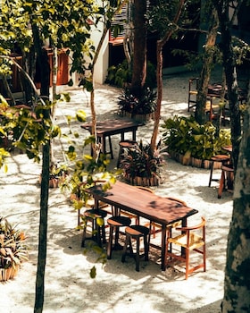 motto by hilton tulum