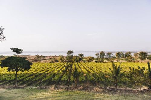 nashik