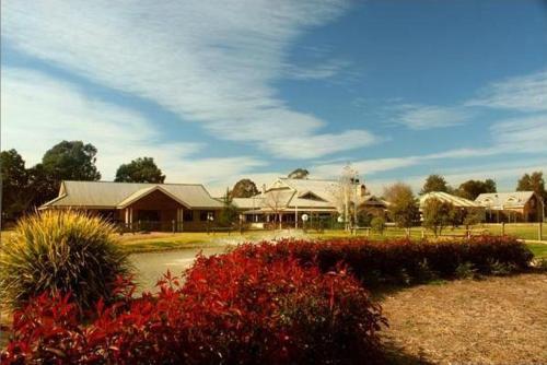 potters hotel and brewery